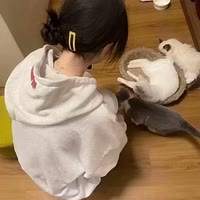 ^初稚^