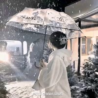 蛋仔主播宿宿