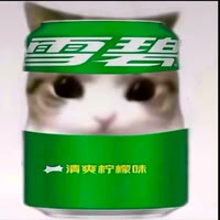 十一
